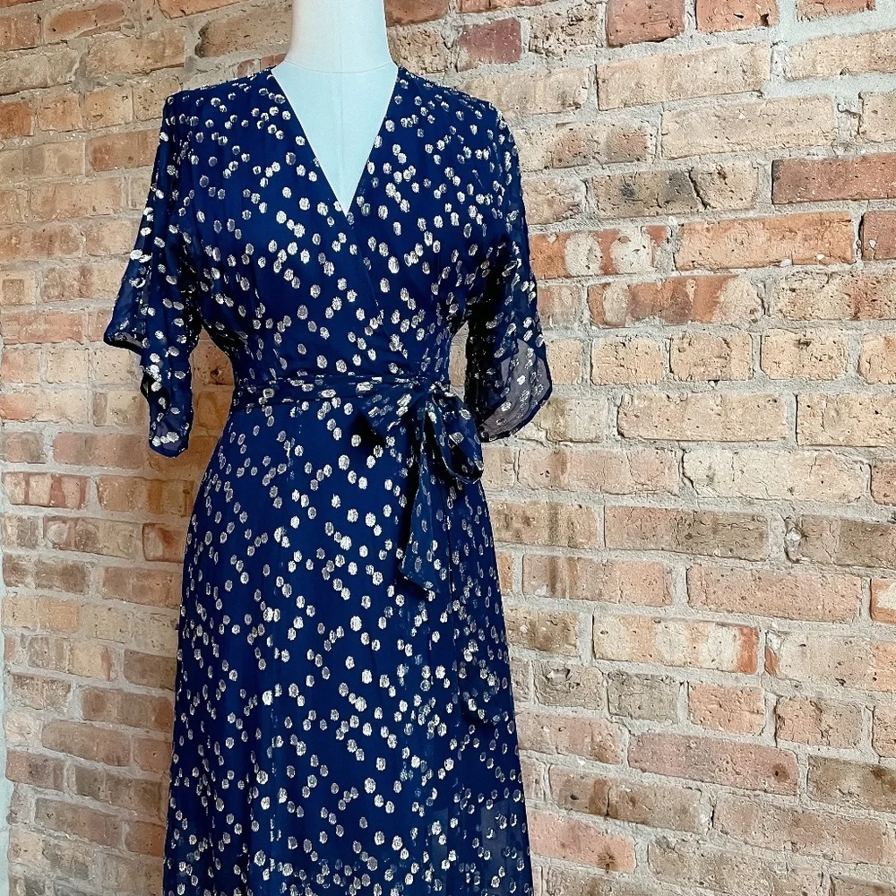 Hutch Gemma Maxi Dress in Metallic Navy - Picture 7 of 15